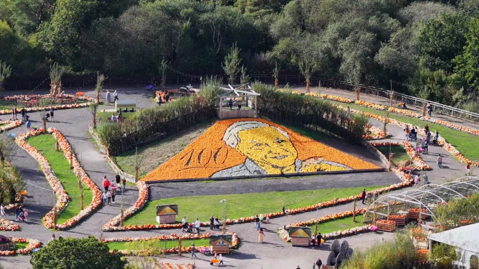 Aerial view of the pumpkin display at Sunnyfields Farm